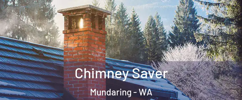 Chimney Saver Mundaring - WA