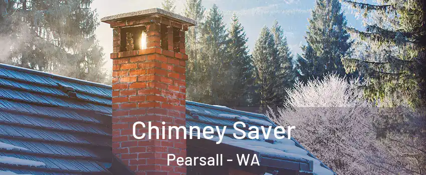 Chimney Saver Pearsall - WA