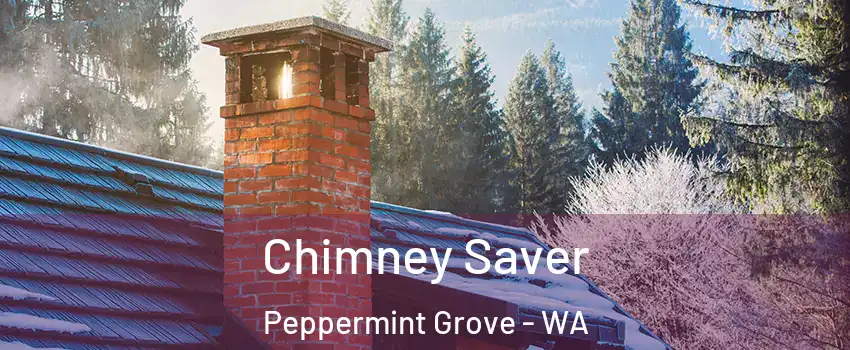 Chimney Saver Peppermint Grove - WA