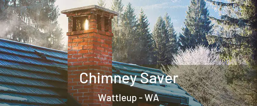 Chimney Saver Wattleup - WA