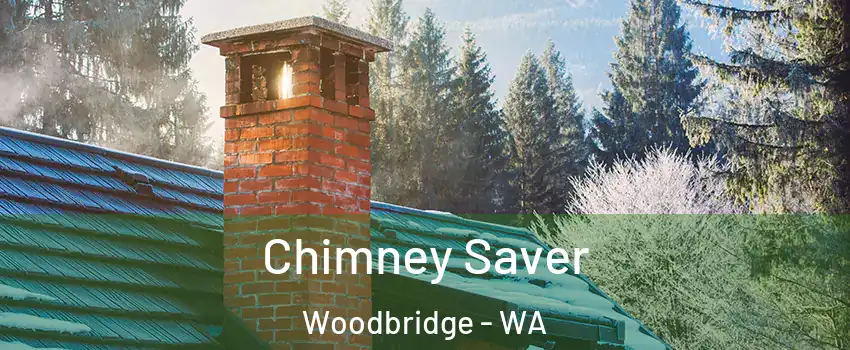Chimney Saver Woodbridge - WA
