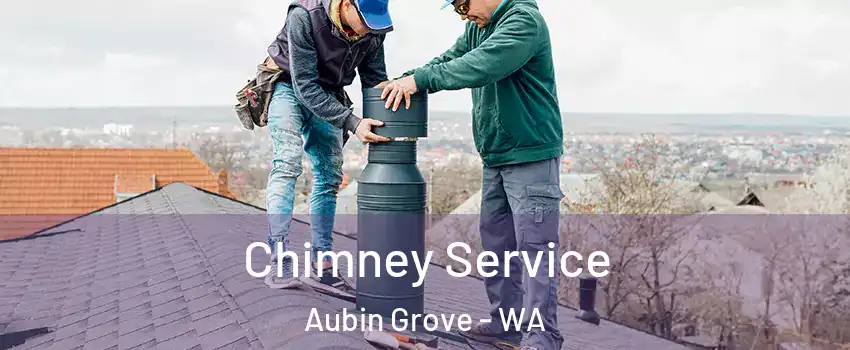 Chimney Service Aubin Grove - WA