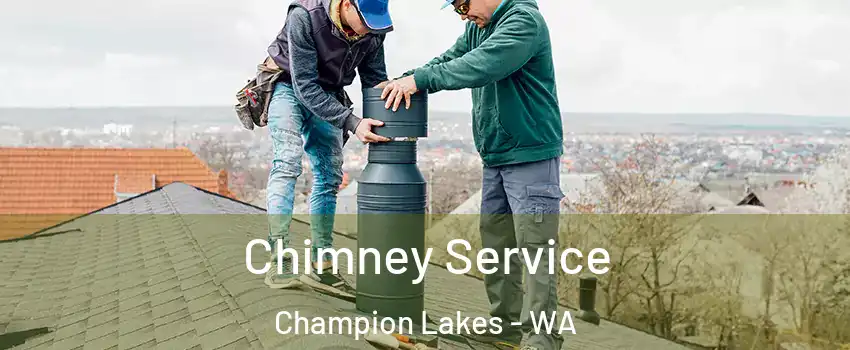 Chimney Service Champion Lakes - WA