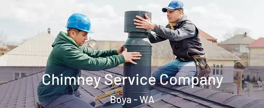 Chimney Service Company Boya - WA