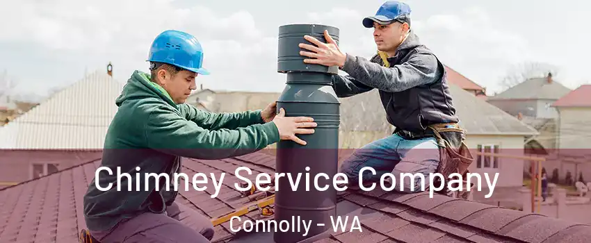 Chimney Service Company Connolly - WA