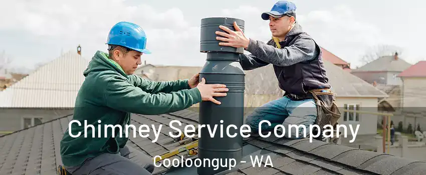 Chimney Service Company Cooloongup - WA