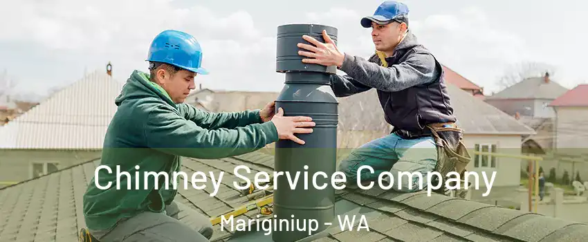 Chimney Service Company Mariginiup - WA