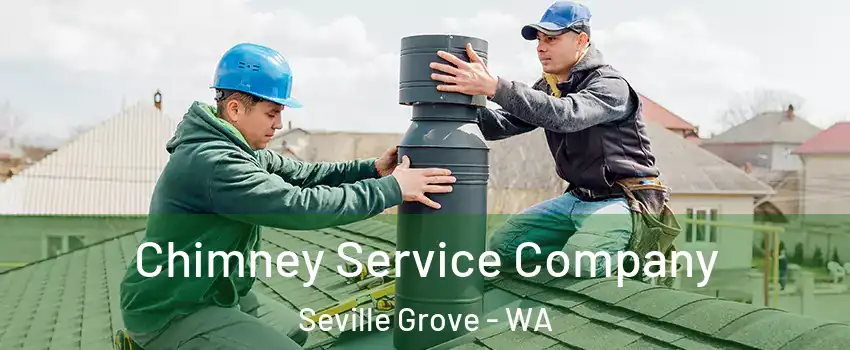 Chimney Service Company Seville Grove - WA