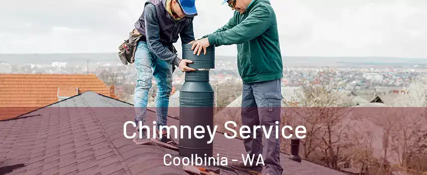 Chimney Service Coolbinia - WA