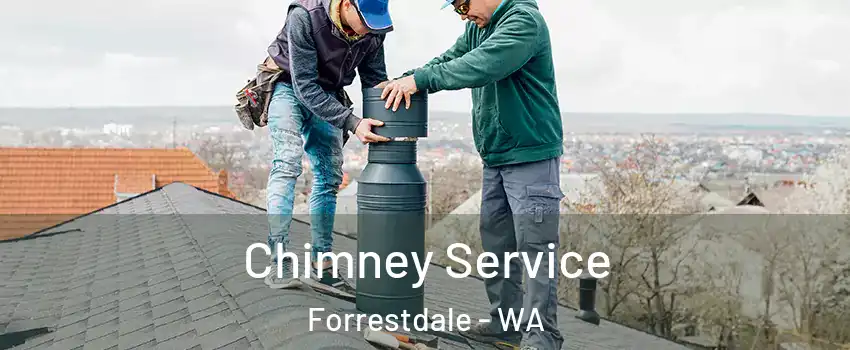 Chimney Service Forrestdale - WA