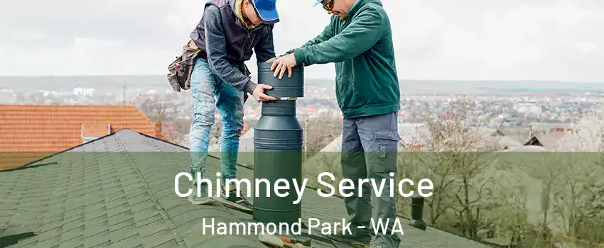 Chimney Service Hammond Park - WA