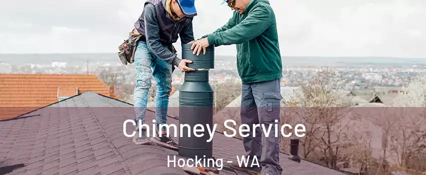 Chimney Service Hocking - WA