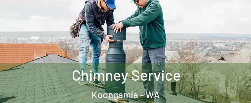 Chimney Service Koongamia - WA