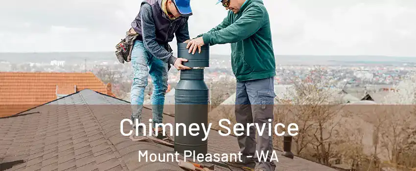 Chimney Service Mount Pleasant - WA