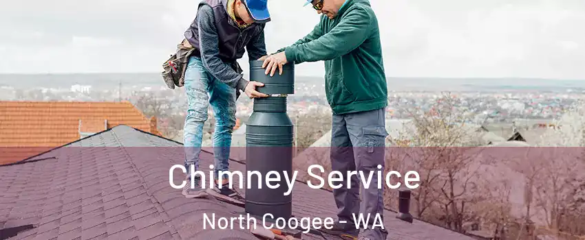 Chimney Service North Coogee - WA