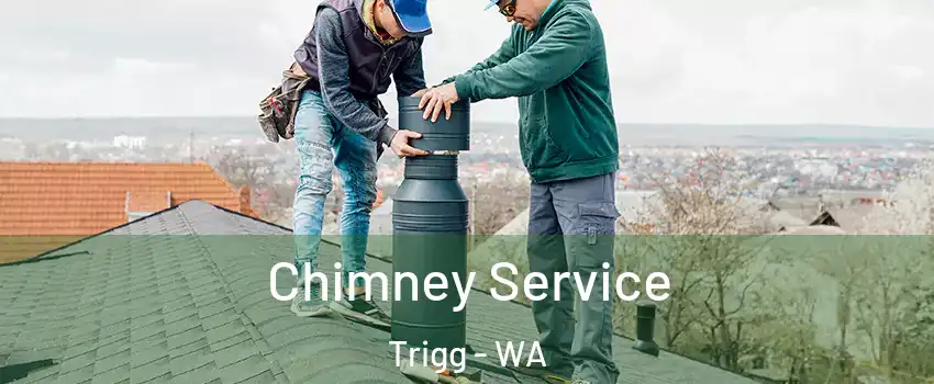 Chimney Service Trigg - WA