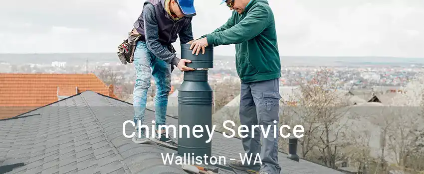  Chimney Service Walliston - WA
