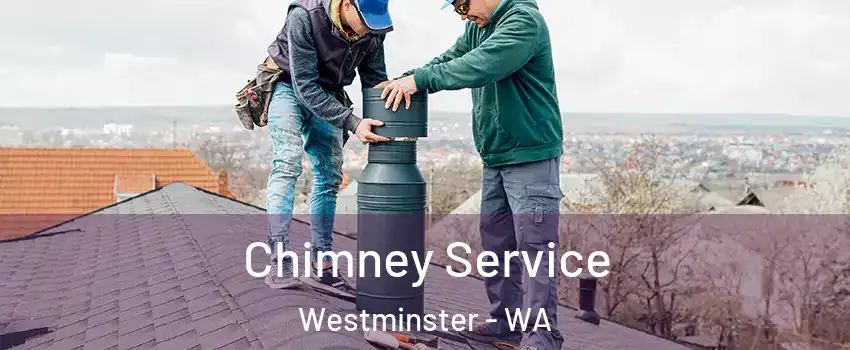  Chimney Service Westminster - WA