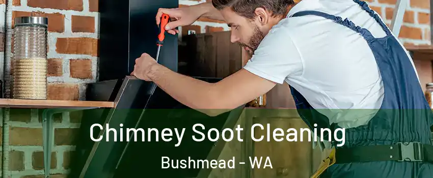 Chimney Soot Cleaning Bushmead - WA