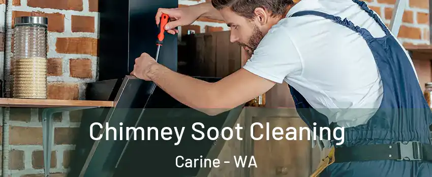 Chimney Soot Cleaning Carine - WA