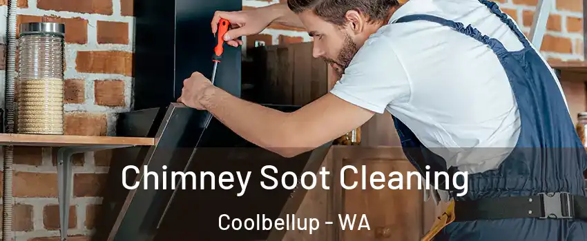 Chimney Soot Cleaning Coolbellup - WA