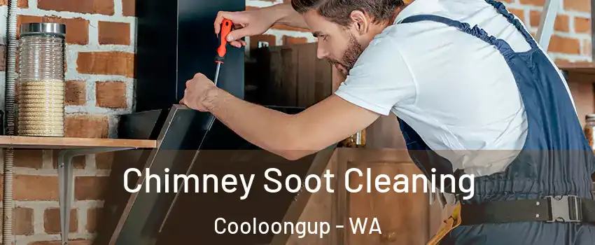 Chimney Soot Cleaning Cooloongup - WA