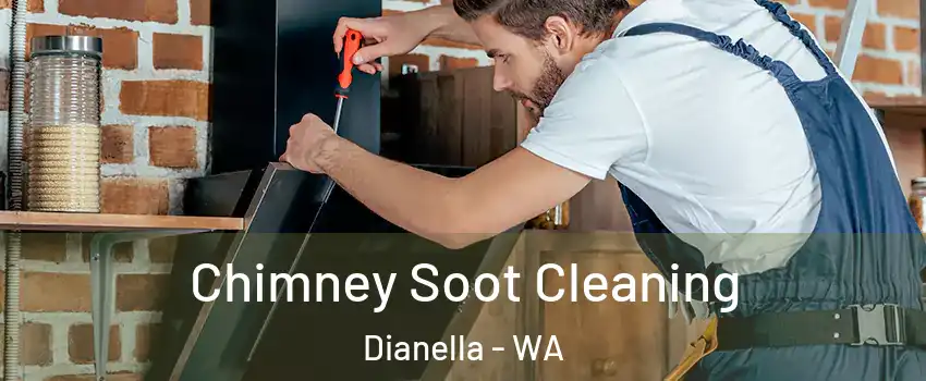 Chimney Soot Cleaning Dianella - WA