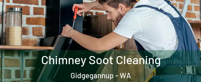 Chimney Soot Cleaning Gidgegannup - WA