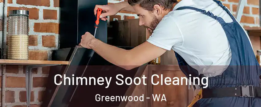 Chimney Soot Cleaning Greenwood - WA