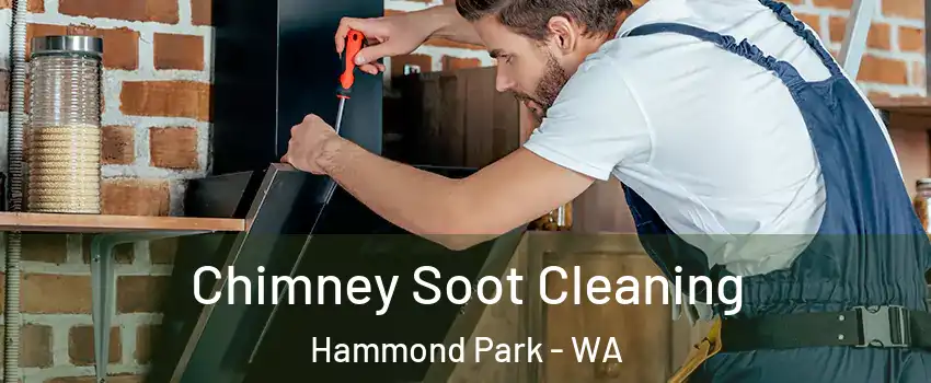 Chimney Soot Cleaning Hammond Park - WA