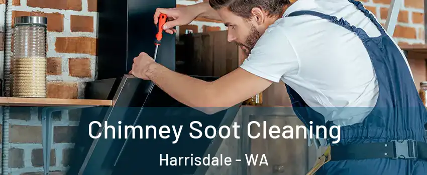 Chimney Soot Cleaning Harrisdale - WA