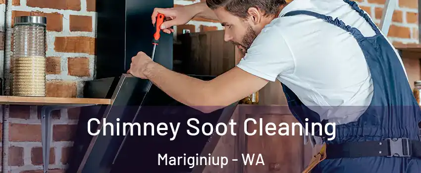 Chimney Soot Cleaning Mariginiup - WA