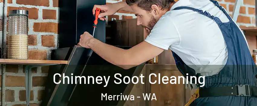 Chimney Soot Cleaning Merriwa - WA