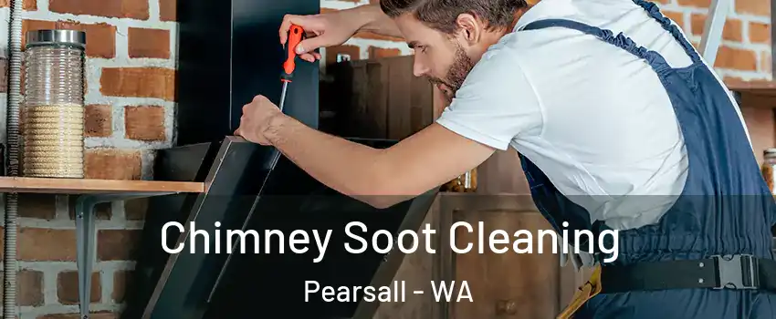 Chimney Soot Cleaning Pearsall - WA