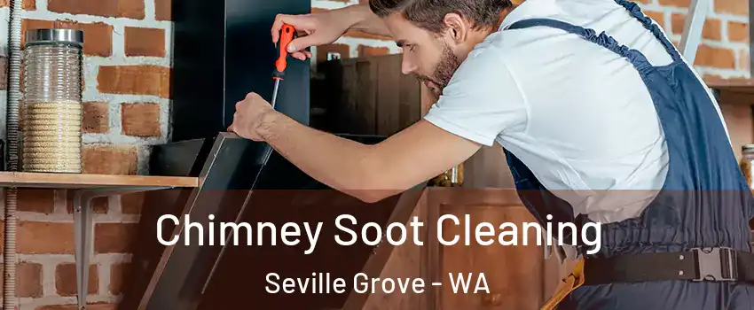 Chimney Soot Cleaning Seville Grove - WA