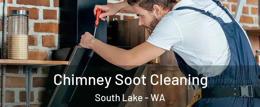 Chimney Soot Cleaning South Lake - WA