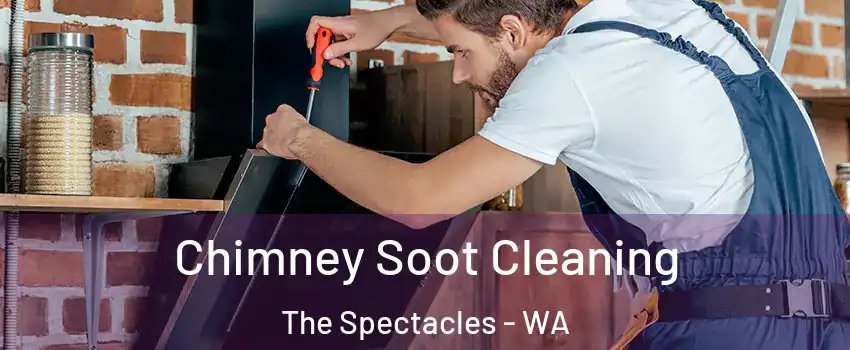 Chimney Soot Cleaning The Spectacles - WA