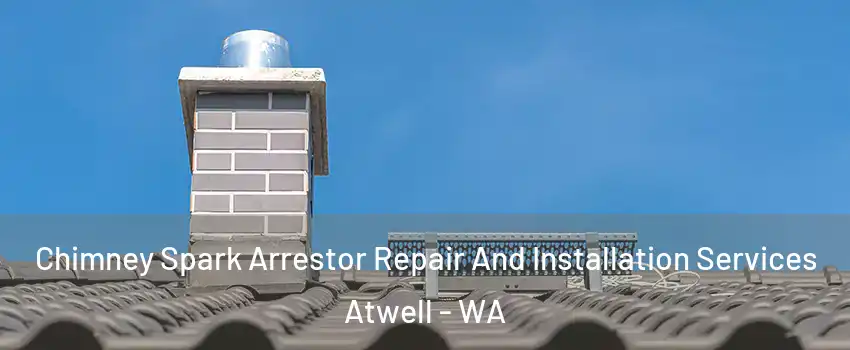 Chimney Spark Arrestor Repair And Installation Services Atwell - WA