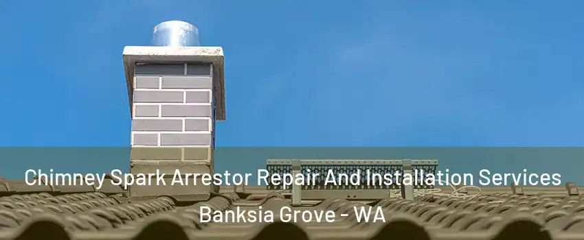 Chimney Spark Arrestor Repair And Installation Services Banksia Grove - WA