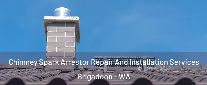Chimney Spark Arrestor Repair And Installation Services Brigadoon - WA