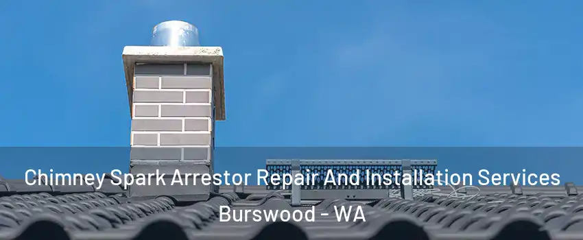 Chimney Spark Arrestor Repair And Installation Services Burswood - WA
