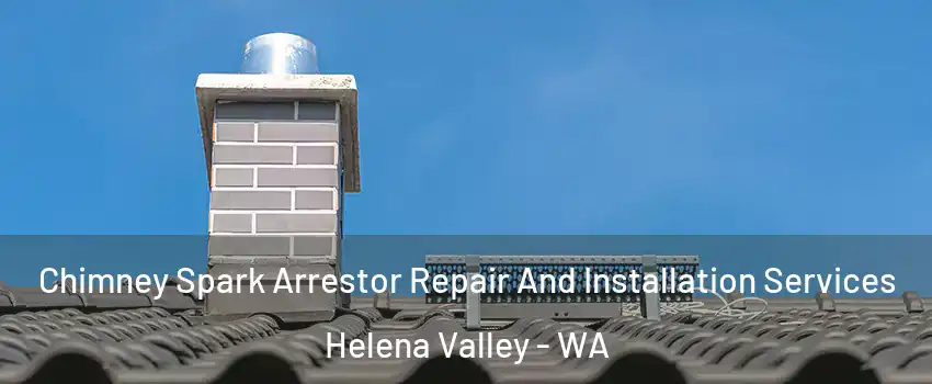 Chimney Spark Arrestor Repair And Installation Services Helena Valley - WA