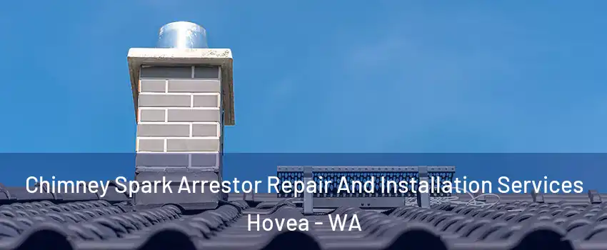 Chimney Spark Arrestor Repair And Installation Services Hovea - WA
