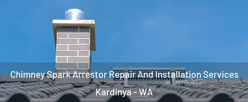 Chimney Spark Arrestor Repair And Installation Services Kardinya - WA