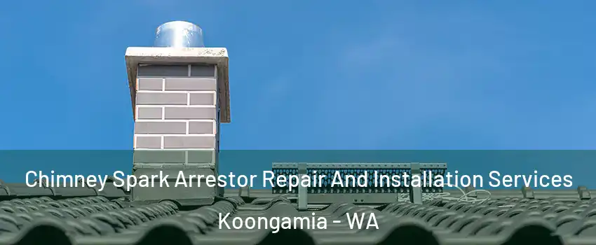 Chimney Spark Arrestor Repair And Installation Services Koongamia - WA