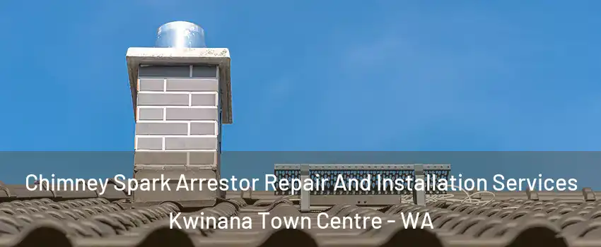 Chimney Spark Arrestor Repair And Installation Services Kwinana Town Centre - WA