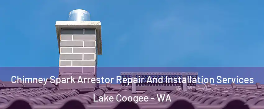Chimney Spark Arrestor Repair And Installation Services Lake Coogee - WA