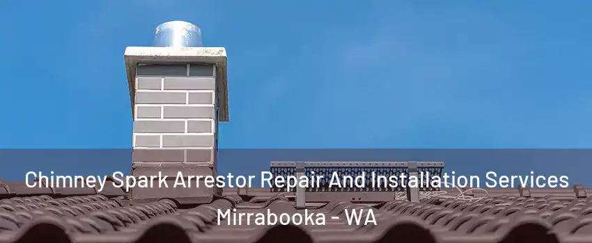 Chimney Spark Arrestor Repair And Installation Services Mirrabooka - WA