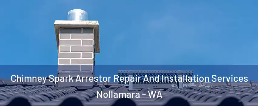 Chimney Spark Arrestor Repair And Installation Services Nollamara - WA