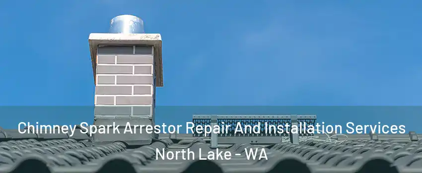 Chimney Spark Arrestor Repair And Installation Services North Lake - WA